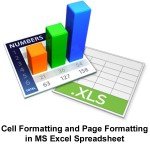 cell-formatting-and-page-formatting-in-ms-excel-spreadsheet